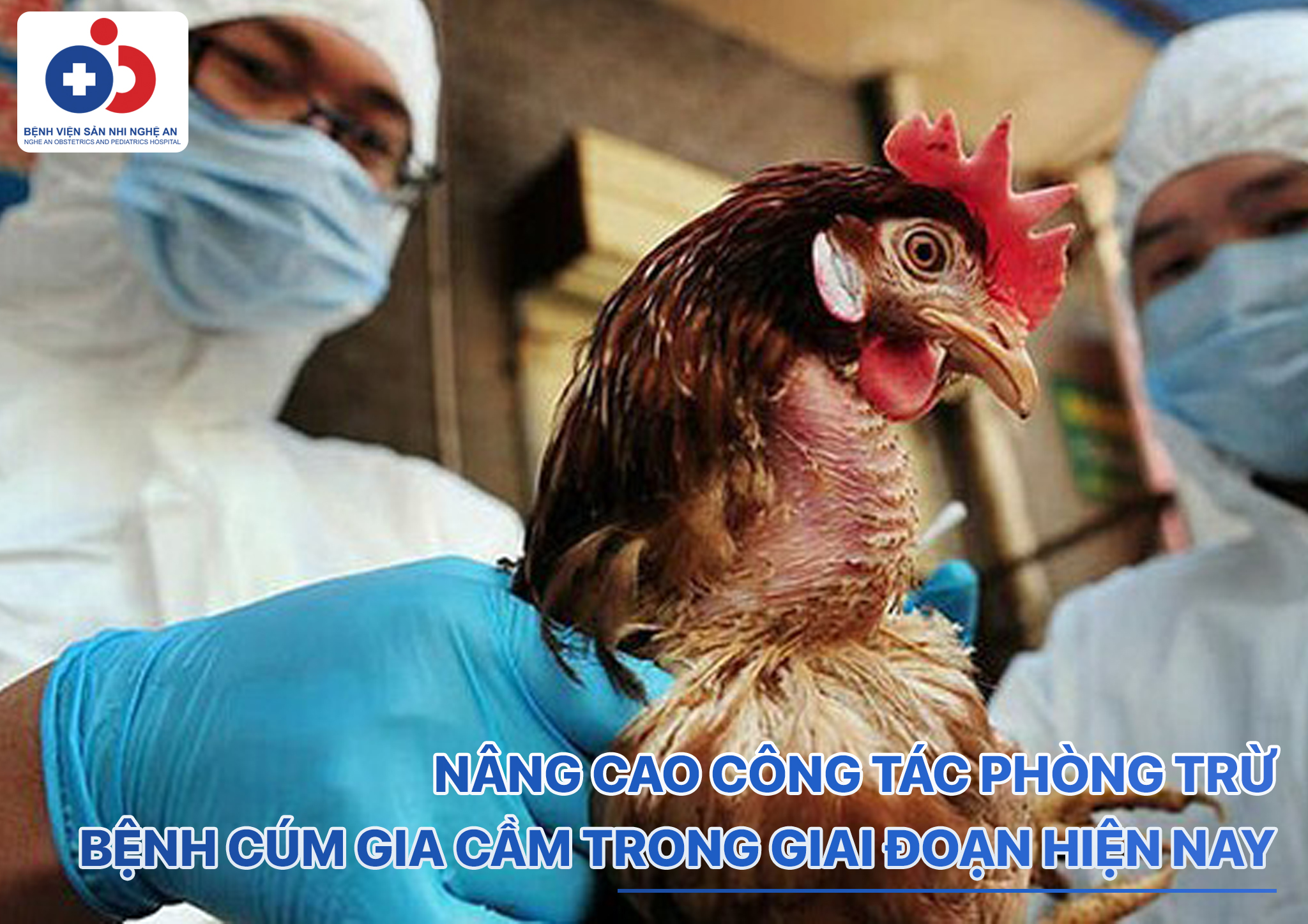 Đang cập nhật