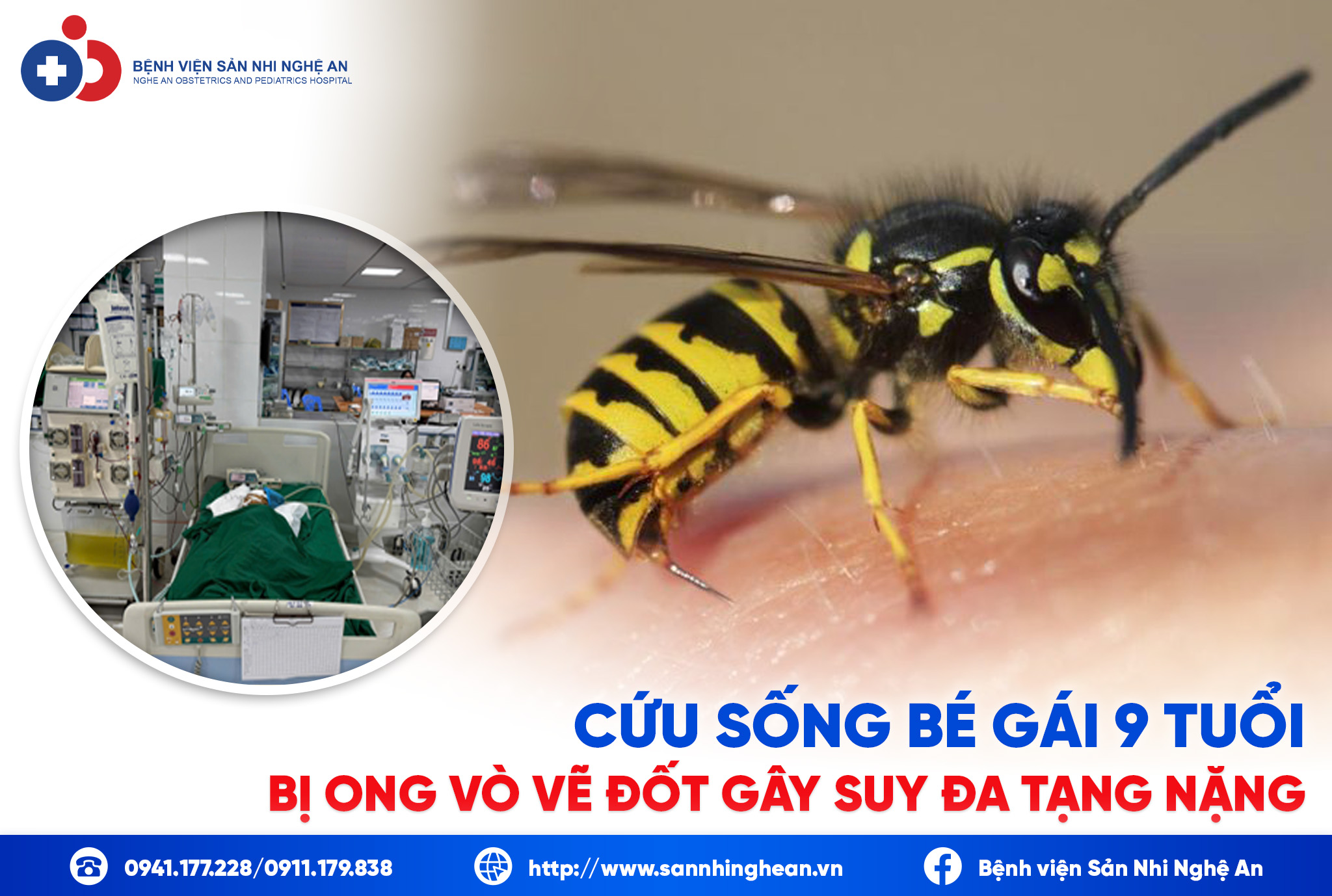Đang cập nhật