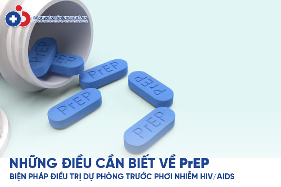 Đang cập nhật