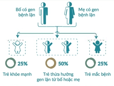 Sơ đồ di truyền học cho thấy các khả năng con nhận gen từ cha mẹ trong trường hợp một người mang gen bệnh