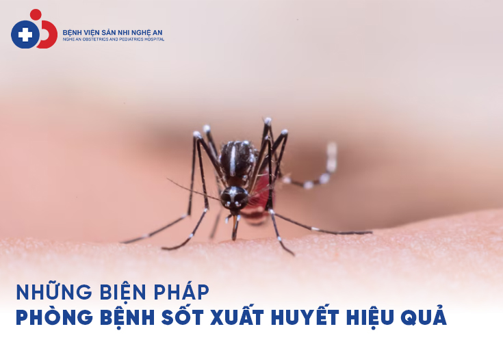 Đang cập nhật