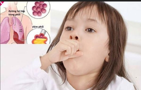 Đang cập nhật