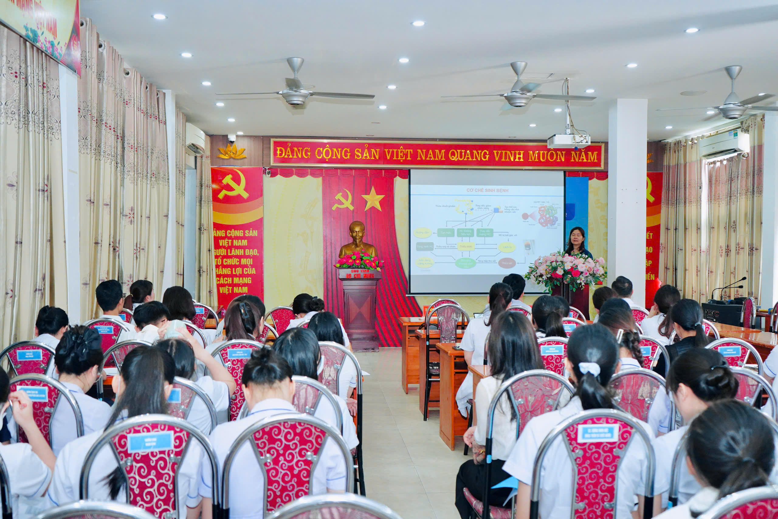 Đang cập nhật