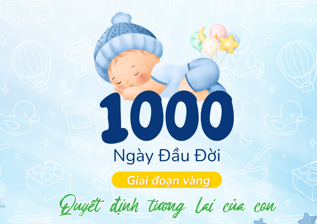 Đang cập nhật